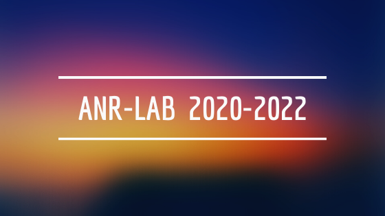 Иллюстрация к новости: Новый трехлетний цикл деятельности ANR-Lab: планы на 2020 – 2022 гг.